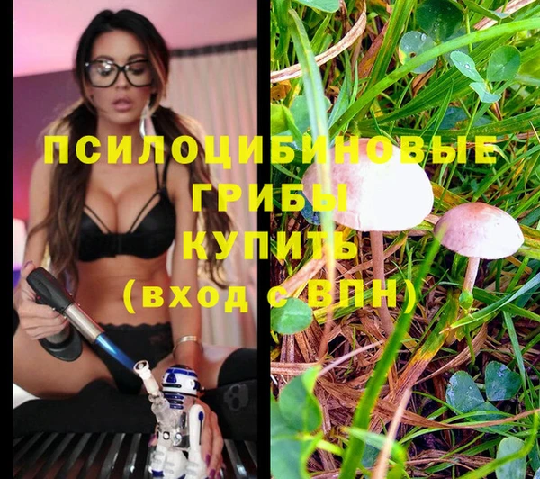 прущие грибы Верхнеуральск