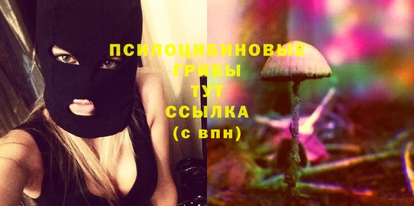 прущие грибы Верхнеуральск